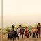 Great Papers! Horse Meadow Stationery Letterhead, Invitations and Announcements, Printer Friendly, 8.5"x11", 80 Pack